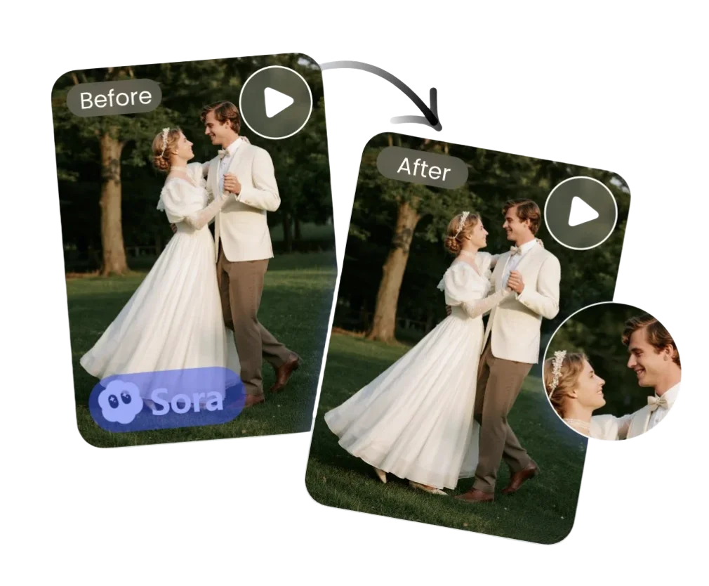 Sora Watermark Remover Introduction